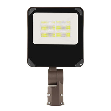 LED Flood Light