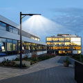 Outdoor LED Lighting