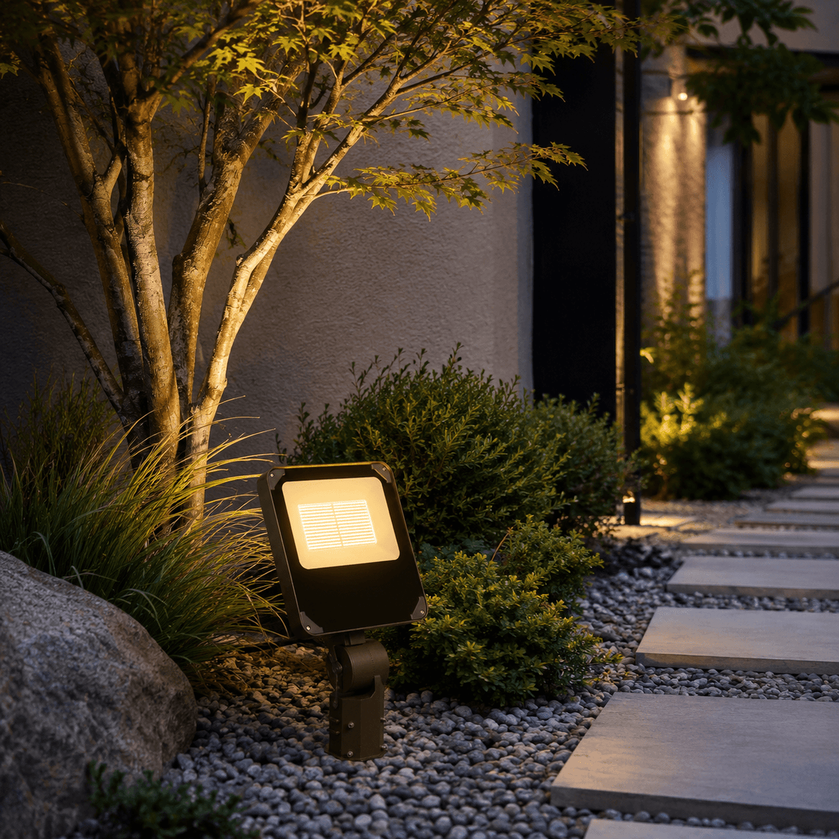 LED Flood Light