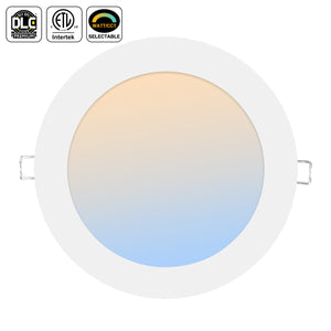 LED Downlight