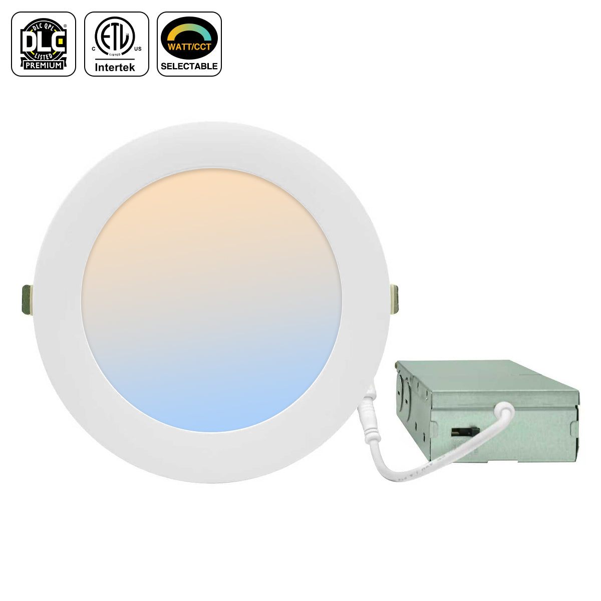LED Downlight
