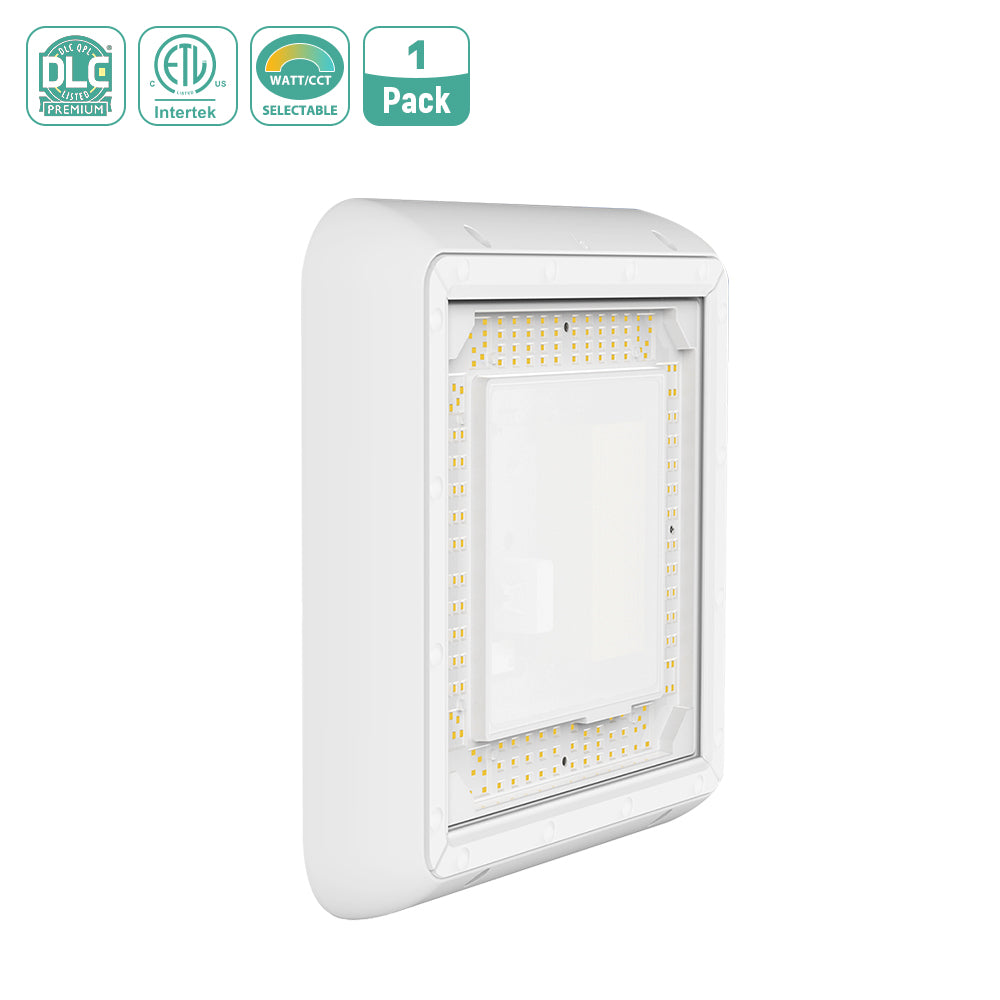 LED Canopy Light