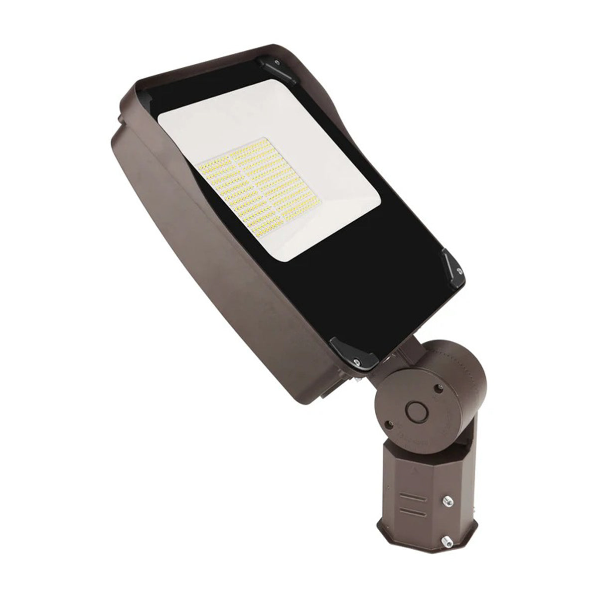 LED Flood Light