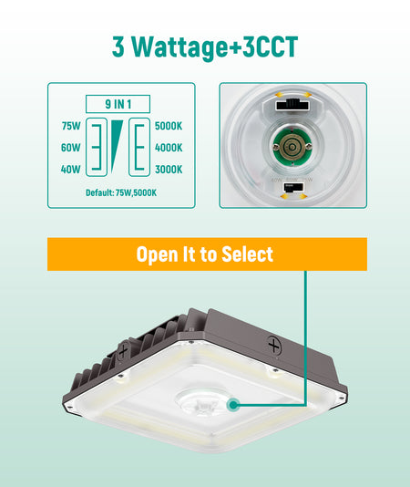 LED Garage Canopy Light
