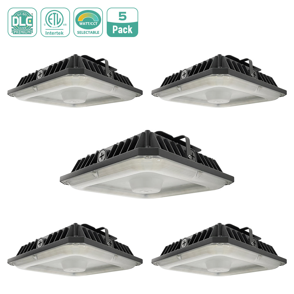  LED Canopy Light