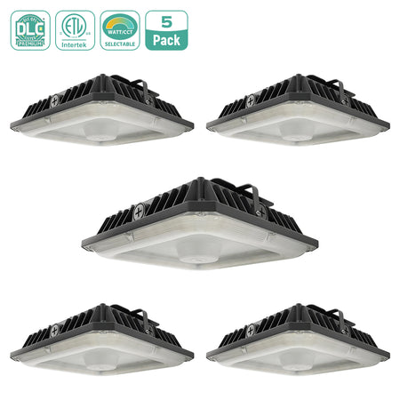  LED Canopy Light