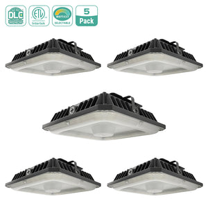  LED Canopy Light