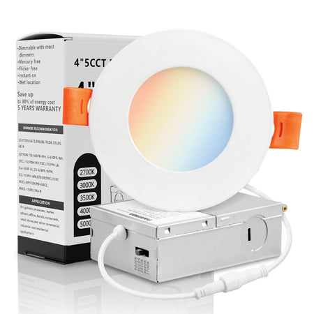 LED Downlight