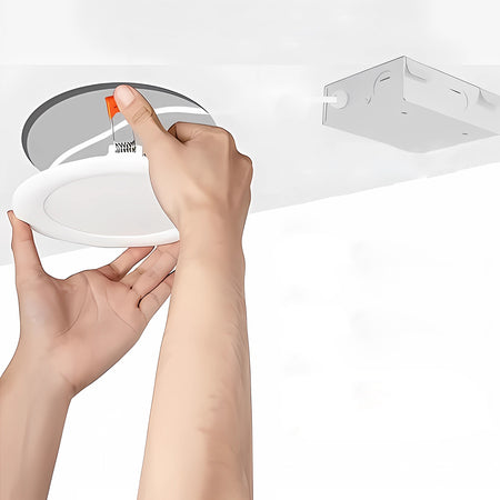 LED Downlight
