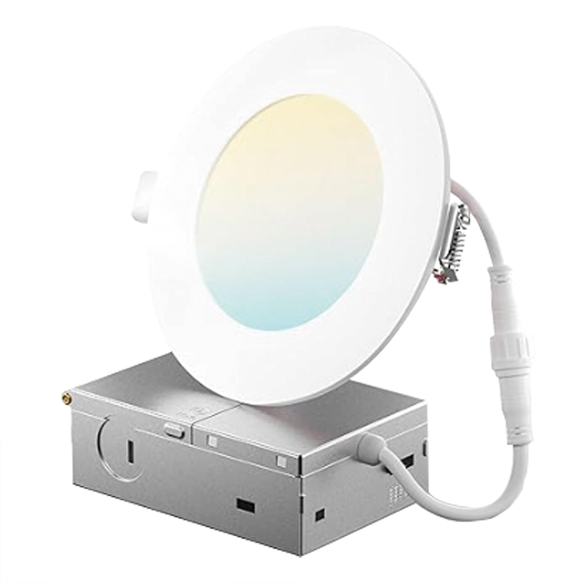 LED Downlight