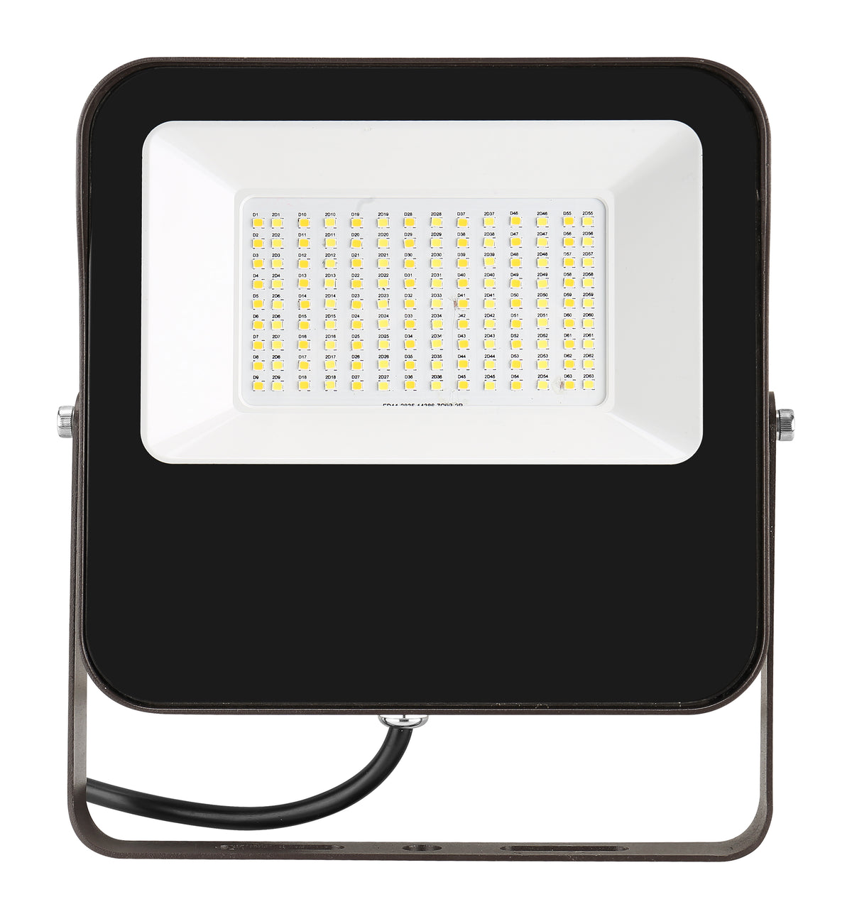 LED Flood Light