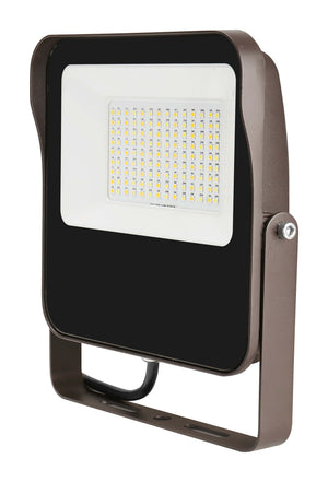 LED Flood Light