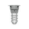 20W Explosion Proof Tunnel Light, 5000K, IP66, 100-277VAC, Ceiling Mounting