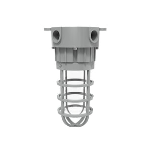 20W Explosion Proof Tunnel Light, 5000K, IP66, 100-277VAC, Ceiling Mounting