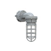 20W Explosion Proof Tunnel Light, 5000K, IP66, 100-277VAC