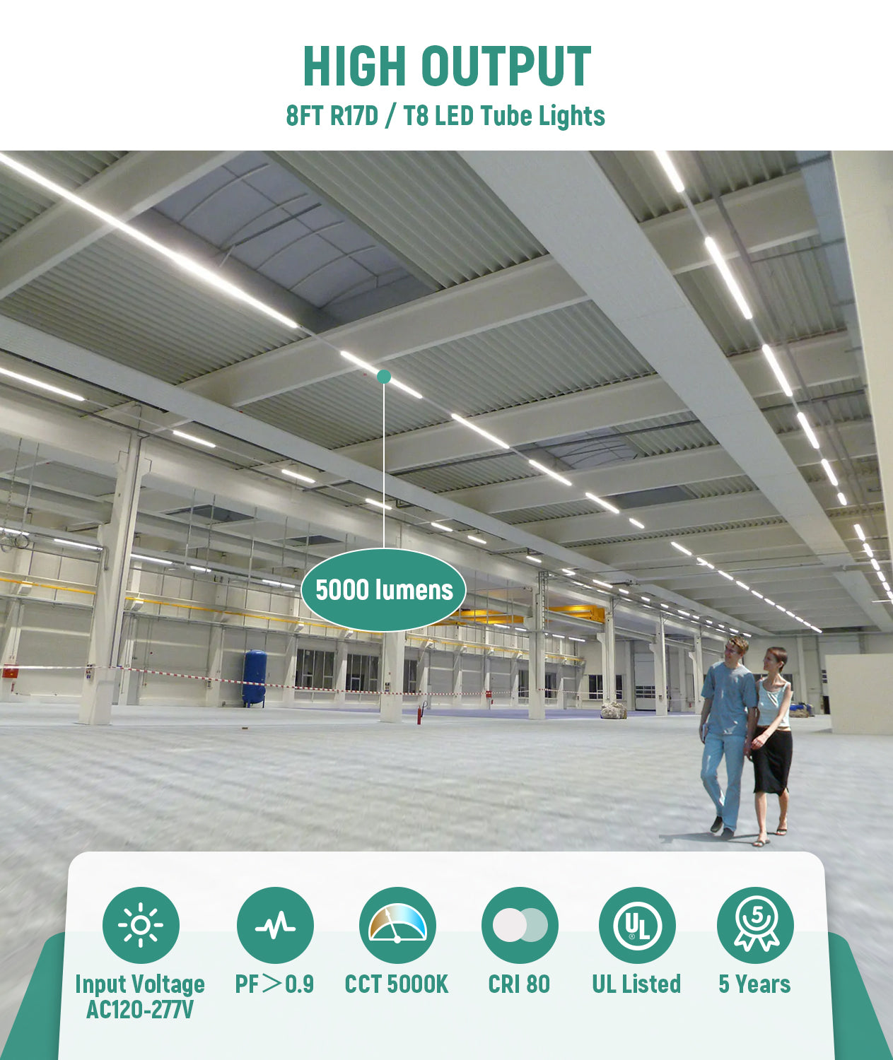 8FT LED Tube Light