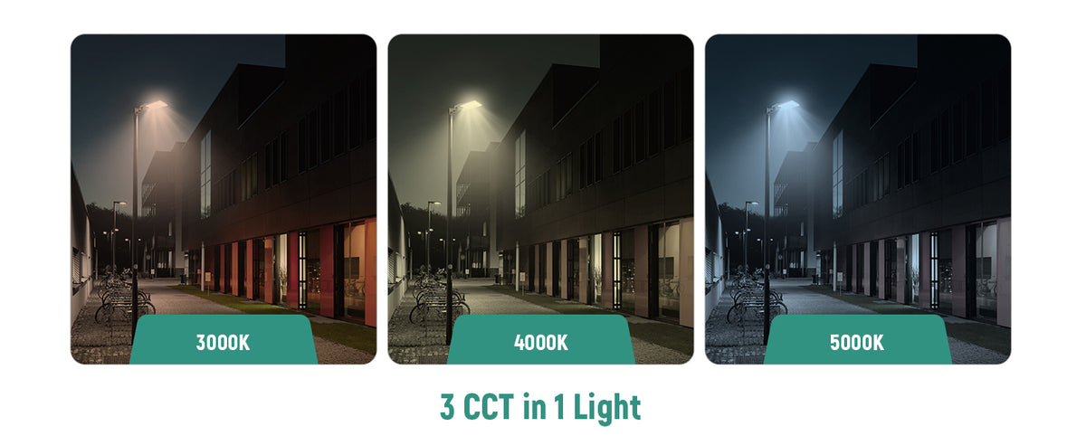 LED Shoebox Area Light 500W 80000 Lumens UL, DLC Premium  | 120-277V with Photocell Base