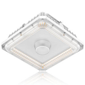 LED Canopy Light