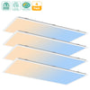 LED Backlit Panel Light