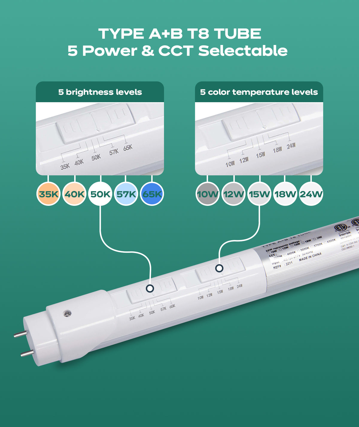 LED T8 Tube Light