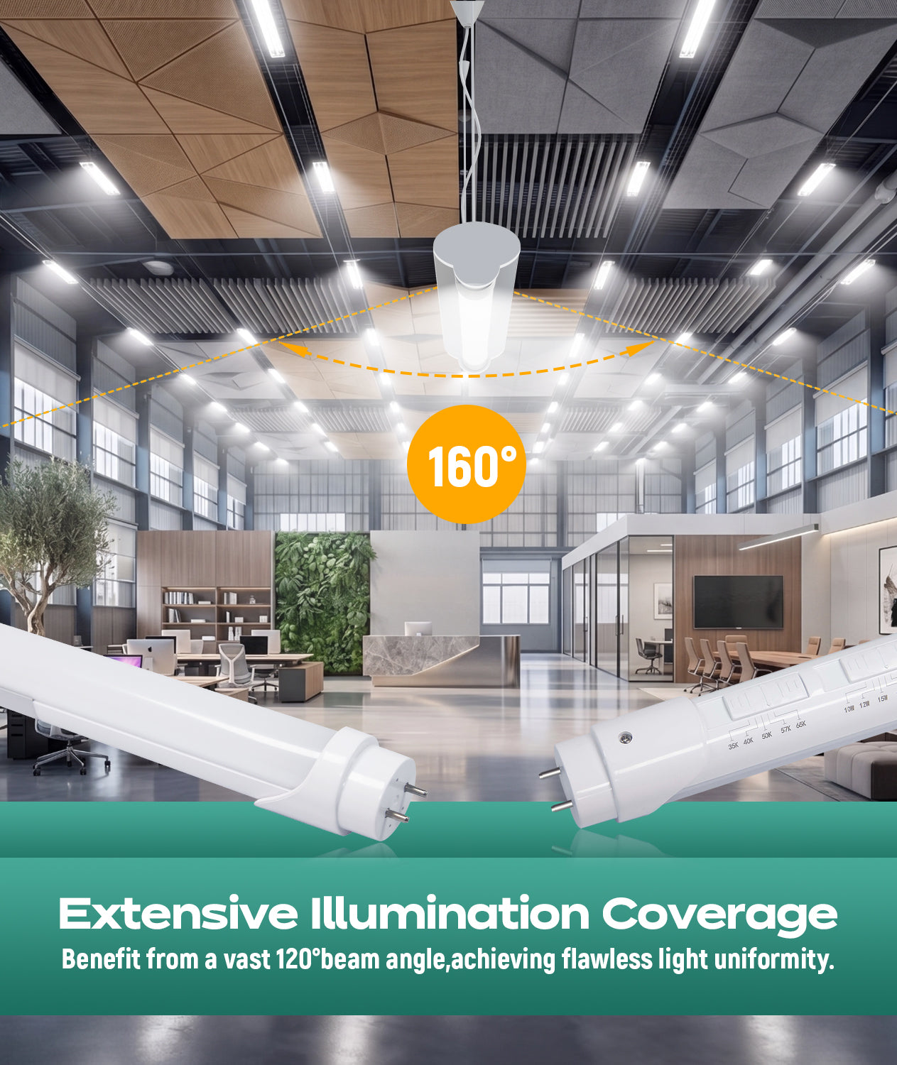 LED T8 Tube Light