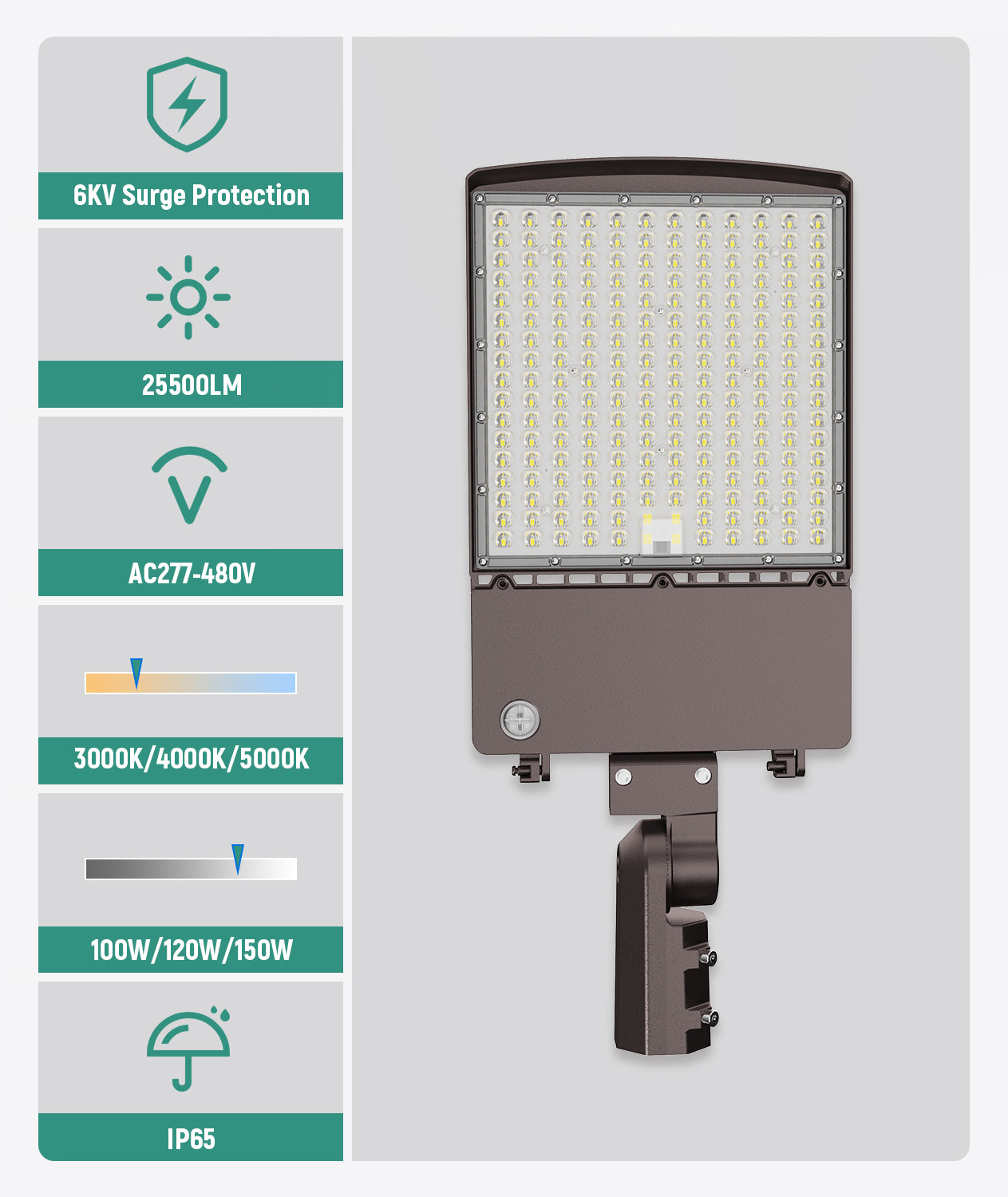 LED Shoebox Area Light
